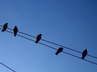 Image: 'Andante in Fa#' by Paolo Crosetto - licensed under CC BY SA 2.0 2024-04-07_andante.jpg